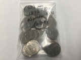 (55) 1976 (Bic) Half Dollars