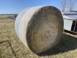 10x$ Net wrapped straw bales