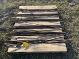 Lot of 60 used electric fence posts