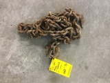 10 ft. Log chain