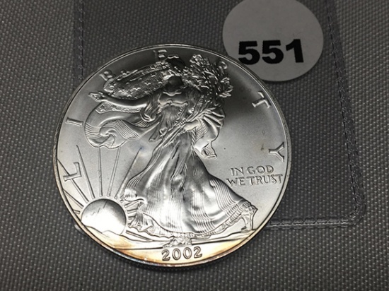 2002 Silver Eagle