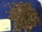 2.75 lb. Wheat Cents