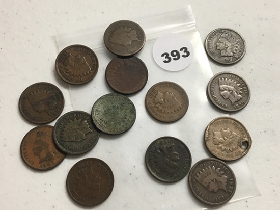Lot of 13 Indian Cents