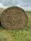 20 X $ GV 30 Hay
