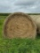 20 X $ Brome Hay