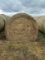 20 X $ Grass Hay