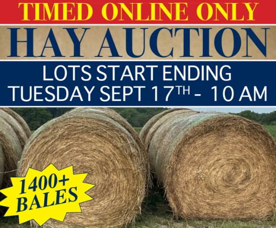 2024 Briscoe Hay Auction