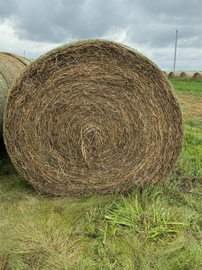 20 X $ GV 30 Hay
