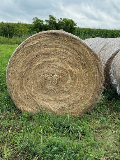 20 X $ Grass Hay 5 X 5 Bales