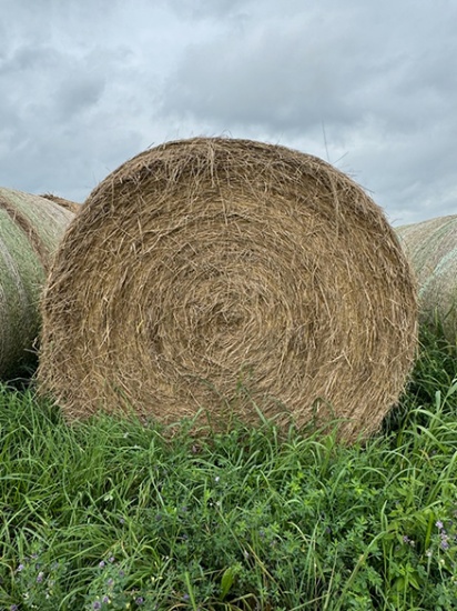 20 X $ Mixed Grass Hay