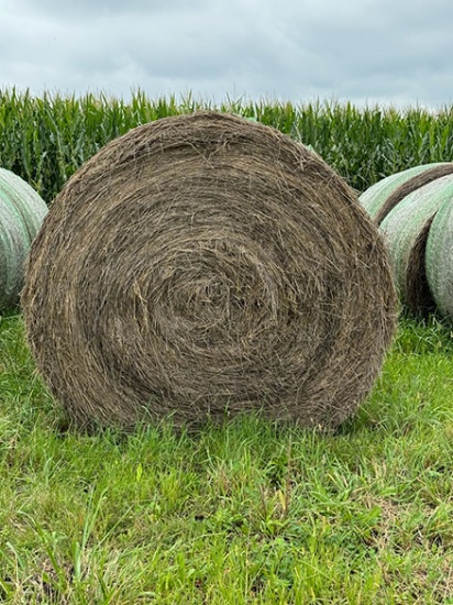 13 X $  Last Year Mixed Grass Hay