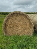 20 X $ Brome Hay