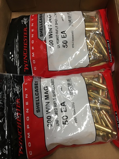 100 Qty, 300 Win Mag Casings