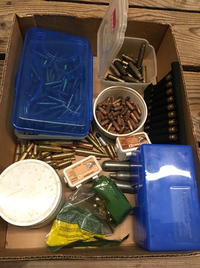 Various Assorted Ammo and Bullets