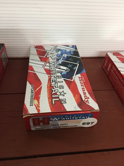 20 Rds, 100 Gr, 243 Winchester