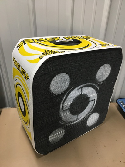 New Black Hole 22, 4 Sided Target