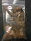 1.14 lb. Wheat Cents