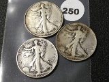 (3) 1937 Walking Liberty Half Dollars
