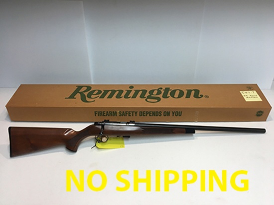 Remington 541-T, .22 rimfire