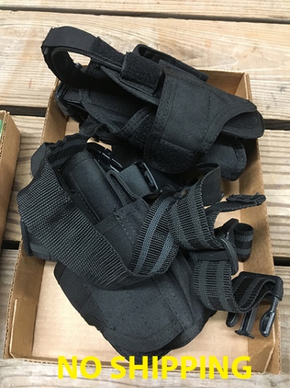 (2) Holsters