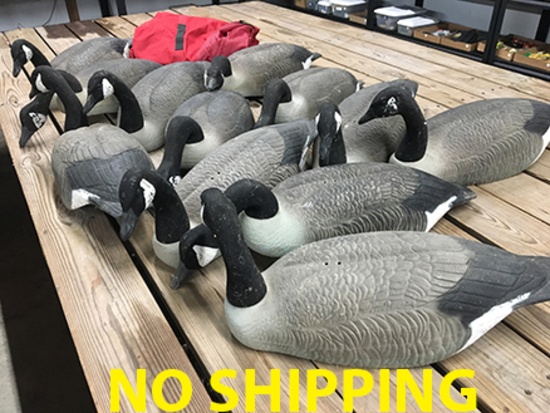 (12) Geese Decoys w/ Large Storage Bag