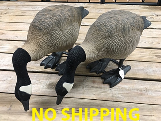 (2) Full Body Geese Decoys