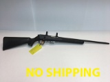 Savage 93R17HMR