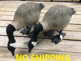 (2) Full Body Geese Decoys