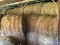 (10 X $) 5 X 5 Twine Tie Grass Hay, 2023 Stored Inside