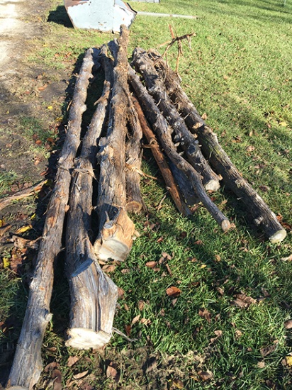 Misc. Cedar Posts