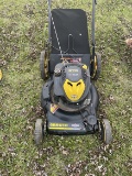Brute 22 in. Push Mower