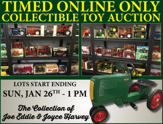 Large Toy Auction
