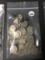 (50) Buffalo Nickels