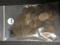 (100) Indian Head Cents