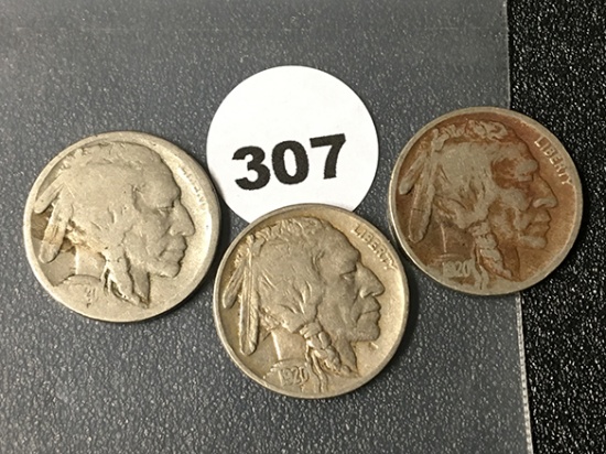 1920, 20-D, 20-S Buffalo Nickels