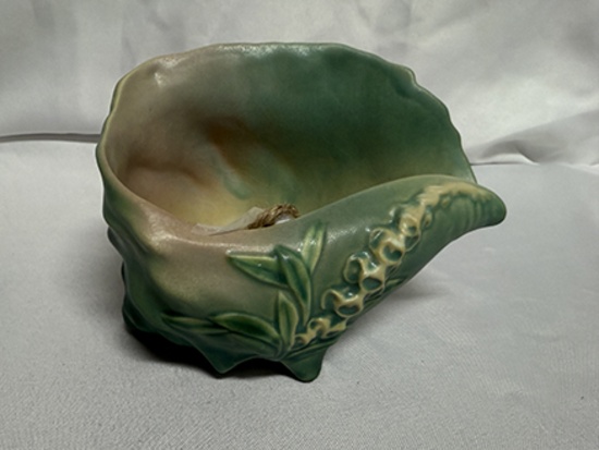 Roseville Foxglove 6 in. Conch Shell