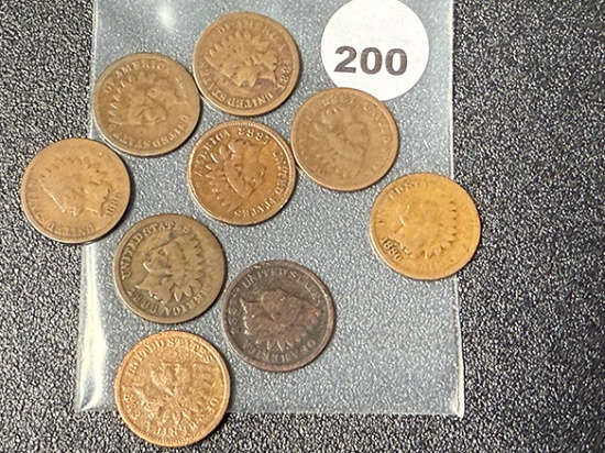 Lot of (9) 1880s Indian Cents