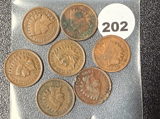 Lot of (7) 1900s Indian Cents