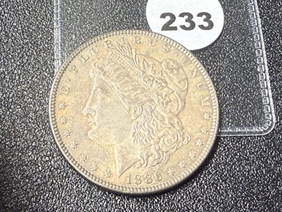 1886 Morgan Dollar