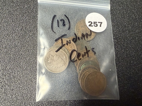 (12) Indian Cents