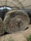 (1) Net Wrapped Bale of Oats Hay