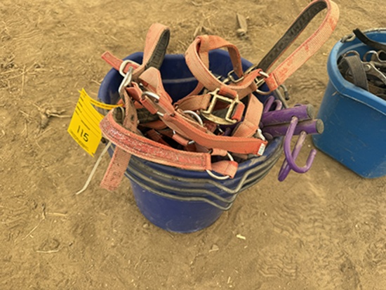 (3) Feed Buckets, Halters, etc.