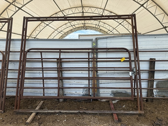 Heavy Duty 9 ft. Walk Thru Gate