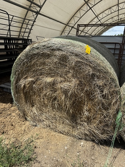 (1) Net Wrapped Bale of Grass Hay