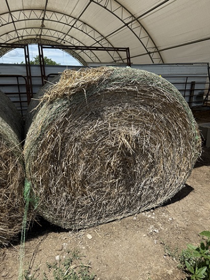 (1) Net Wrapped Bale of Oats Hay