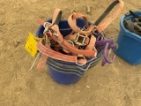 (3) Feed Buckets, Halters, etc.