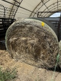 (1) Net Wrapped Bale of Grass Hay