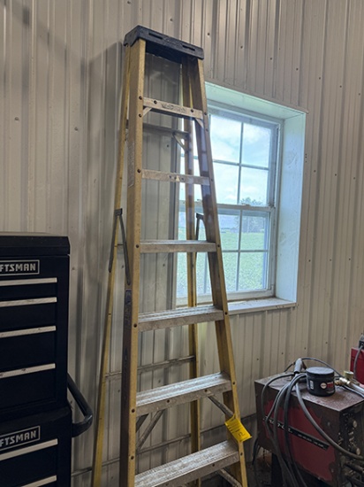 Werner 8 ft. Fiberglass Step Ladder