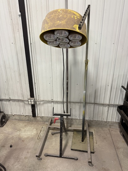 Adjustable Light and 2 Stands