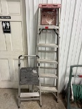 2 Step Ladders